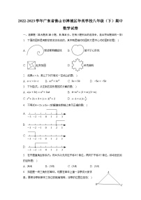 2022-2023学年广东省佛山市禅城区华英学校八年级（下）期中数学试卷（含解析）