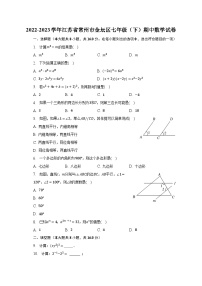 2022-2023学年江苏省常州市金坛区七年级（下）期中数学试卷（含解析）