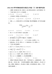 2022-2023学年河南省洛阳市嵩县七年级（下）期中数学试卷（含解析）