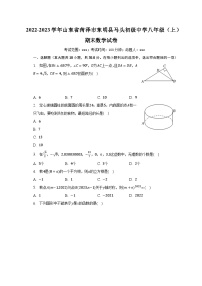 2022-2023学年山东省菏泽市东明县马头初级中学八年级（上）期末数学试卷（含解析）