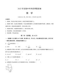 2023年中考考前押题密卷：数学（安徽卷）（考试版）A4