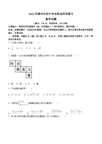 2023年福建省漳州市中考模拟数学试题（含答案）