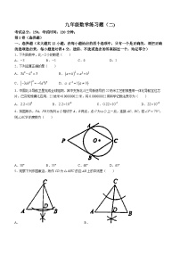 2023年山东省泰安市岱岳区中考二模数学试题（含答案）