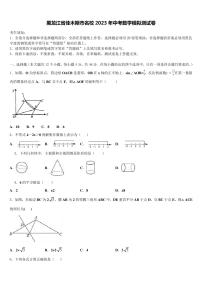 黑龙江省佳木斯市名校2023学年中考数学模拟试题(含答案解析)