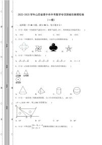 2022-2023学年山西省晋中市中考数学专项突破仿真模拟卷(一模二模)含解析