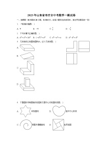 2023年山东省枣庄市中考数学一模试卷（含解析）