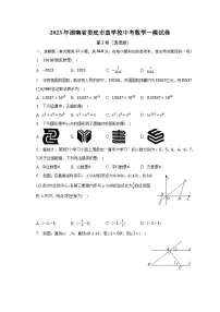 2023年湖南省娄底市直学校中考数学一模试卷(含解析)