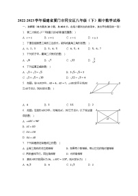 2022-2023学年福建省厦门市同安区八年级（下）期中数学试卷（含解析）