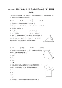 2022-2023学年广东省东莞市长安实验中学八年级(下)期中数学试卷(含解析)