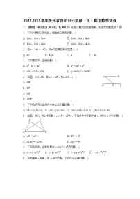 2022-2023学年贵州省贵阳市七年级(下)期中数学试卷(含解析)