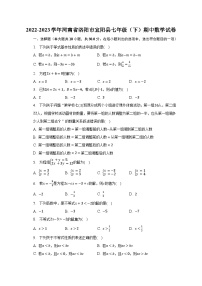 2022-2023学年河南省洛阳市宜阳县七年级（下）期中数学试卷（含解析）