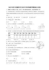 2023年四川省德阳市什邡市中考冲刺数学模拟练习试卷