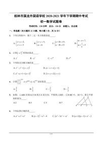 广西桂林市国龙外国语学校2020-2021学年下学期期中考试七年级数学试题卷