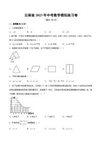 云南省2023年中考数学模拟练习卷