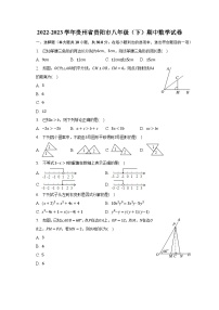 2022-2023学年贵州省贵阳市八年级（下）期中数学试卷（含解析）