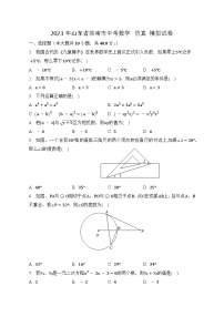 2023年山东省济南市中考数学仿真模拟试卷（含答案）