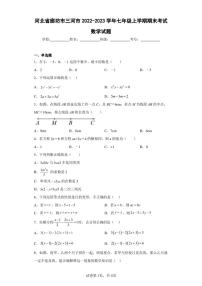 河北省廊坊市三河市2022-2023学年七年级上学期期末考试数学试题（含答案解析）