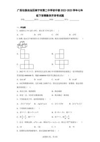 广西壮族自治区南宁市第二中学初中部2022-2023学年七年级下学期数学开学考试题（含答案解析）