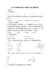 2023年河南省开封市中考数学模拟试卷(含答案)