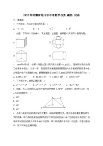 2023年河南省郑州市中考数学仿真模拟试卷（含答案）