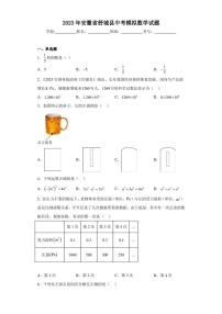 2023年安徽省舒城县中考模拟数学试题（含答案解析）