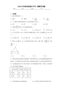 2023年甘肃省武威市中考一模数学试题（含答案解析）