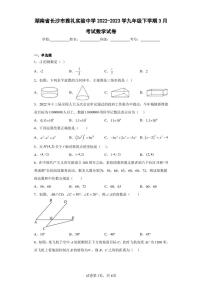 湖南省长沙市雅礼实验中学2022-2023学九年级下学期3月考试数学试卷（含答案解析）