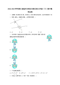 2022-2023学年浙江省温州市瑞安市部分校七年级（下）期中数学试卷（含解析）