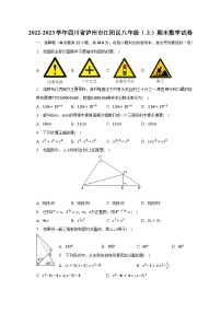 2022-2023学年四川省泸州市江阳区八年级（上）期末数学试卷（含解析)