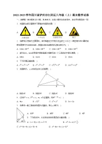 2022-2023学年四川省泸州市江阳区八年级(上)期末数学试卷(含解析)