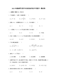 2023年湖南师大附中双语实验学校中考数学一模试卷（有答案）