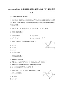 2022-2023学年广东省深圳大学附中集团七年级（下）期中数学试卷（含解析）