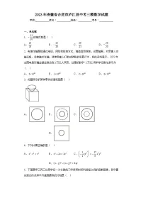 2023年安徽省合肥市庐江县中考三模数学试题(含答案)