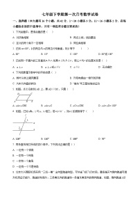 七年级下学期第一次月考数学试卷