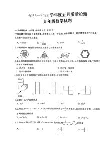 湖北省武汉市硚口区2022-2023学年九年级下学期5月质量检测数学试卷