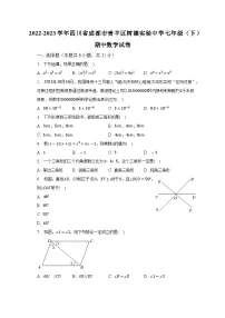 2022-2023学年四川省成都市青羊区树德实验中学七年级（下）期中数学试卷（含解析）