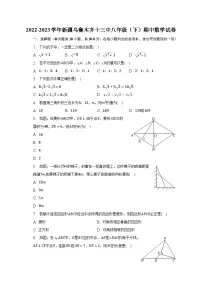 2022-2023学年新疆乌鲁木齐十三中八年级(下)期中数学试卷(含解析)