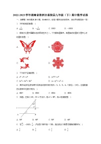 2022-2023学年湖南省株洲市茶陵县九年级（下）期中数学试卷(含解析）