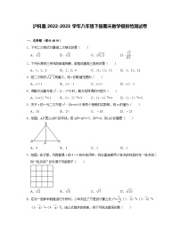 沪科版2022-2023学年八年级下册期末数学模拟检测试卷（含解析）