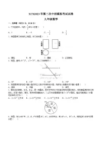 2023年河南省许昌市中考二模数学试题（含答案）