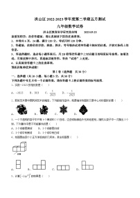 2023年湖北省武汉市洪山区中考模拟数学试卷（含答案）