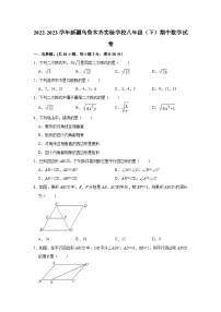 2022-2023学年新疆乌鲁木齐实验学校八年级（下）期中数学试卷（含解析）