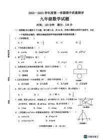 山东省菏泽市成武县2022-2023学年九年级下学期期中考试数学试题