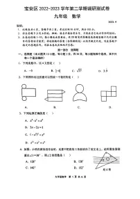 2023年深圳市宝安区初三二模数学试卷(含答案)