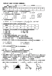 2023春深圳市宝安中学九年级数学中考二模试卷(含答案)