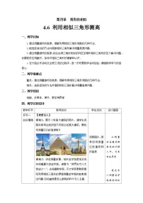 初中数学北师大版九年级上册6 利用相似三角形测高教学设计