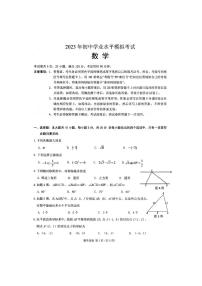 2023年广东省潮州市初中学业水平模拟考试数学试卷