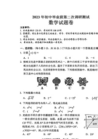 2023年河南省南阳市宛城区中考二模数学试卷