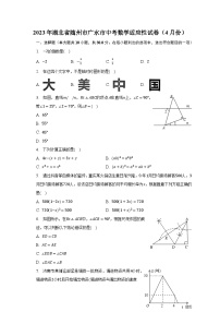 2023年湖北省随州市广水市中考数学适应性试卷（4月份）（含解析）