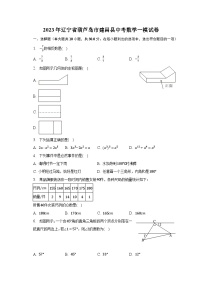 2023年辽宁省葫芦岛市建昌县中考数学一模试卷（含解析）